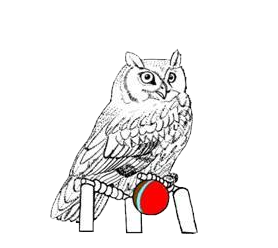 East & West Hundred Cricket Club Logo